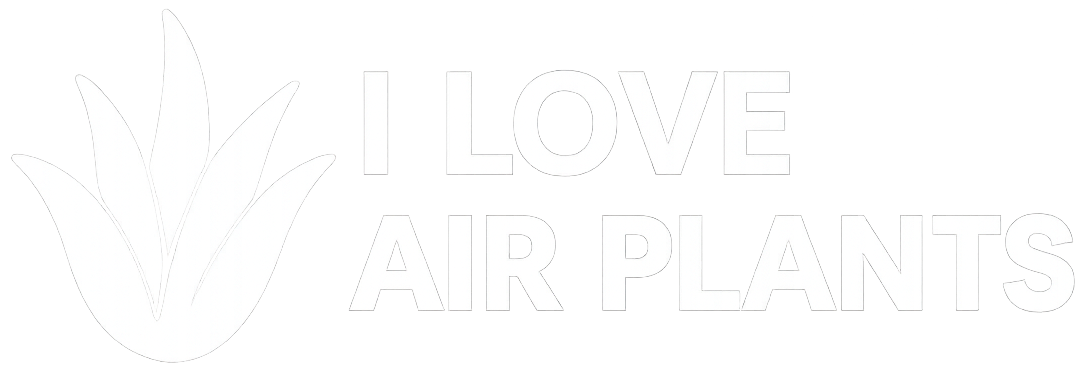 ILoveAirPlants.com