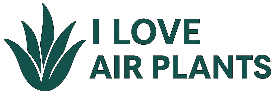 ILoveAirPlants.com